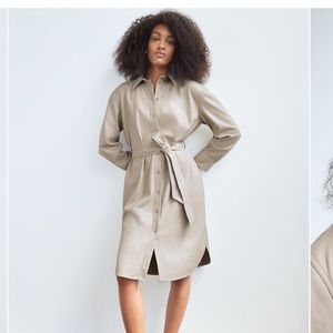 Aritzia Babaton Vice Vegan Leather Belted Shirt Dress